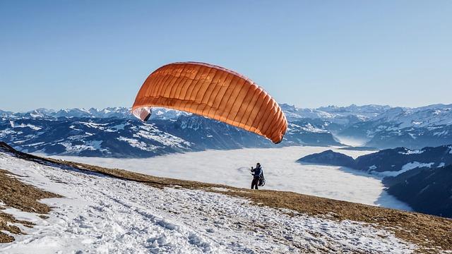 Dobře vycpaný bobr sebevrah: Příběh a umění preparace