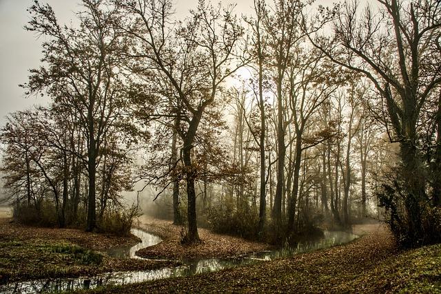 Bobří potok: Malebná krajina a život kolem něj