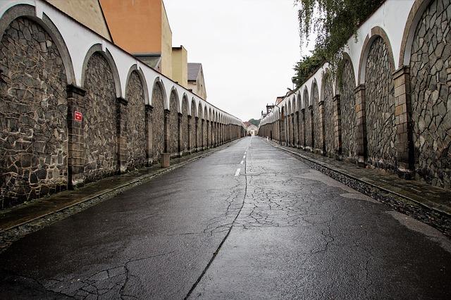 Bobr Děčín: Fascinující návrat bobrů do Děčína