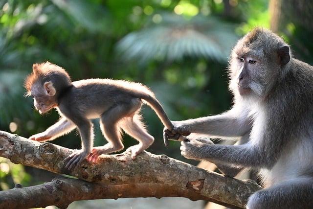 Fauna a flora v okolí Bobřího potoka