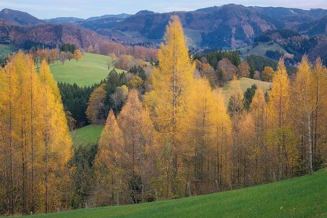 Krajina a životní prostředí bobrů