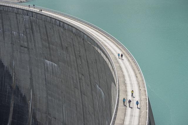 Role bobřích dam v ekosystému a biodiverzitě